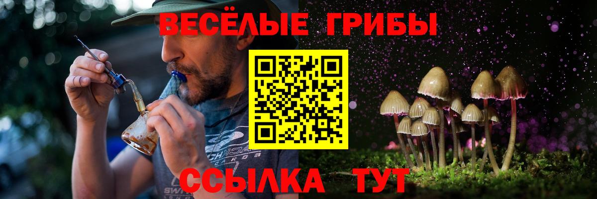 Псилоцибиновые грибы Magic Shrooms Мурино