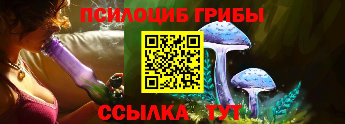 Псилоцибиновые грибы мицелий  Вход с VPN  Мурино 
